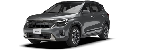 Seltos en color Gravity Gray (Techo Negro)